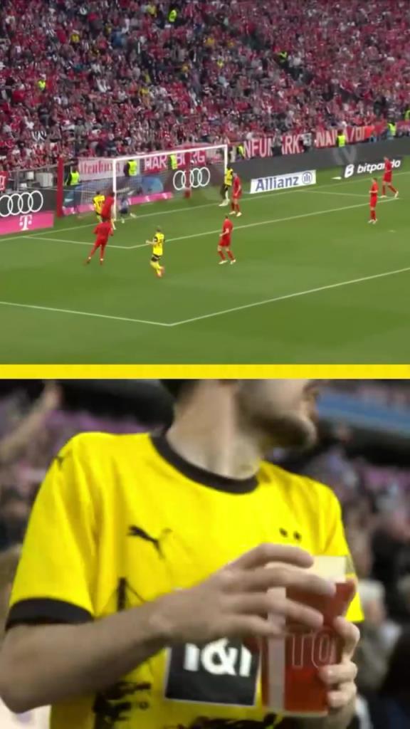 勇者無(wú)懼！這是真多特球迷！在拜仁球迷區(qū)一個(gè)人肆意慶祝！